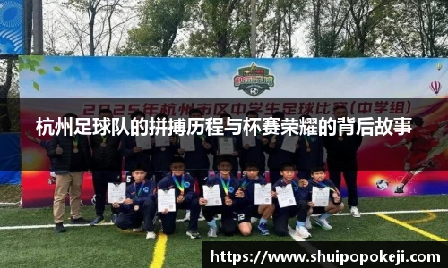 杭州足球队的拼搏历程与杯赛荣耀的背后故事